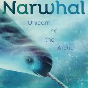 Bargain Narwhal
