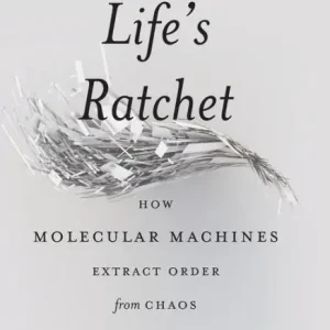 Factory Price Life's Ratchet: How Molecular Machines Extract Order from Chaos