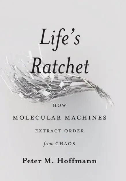 Factory Price Life's Ratchet: How Molecular Machines Extract Order from Chaos