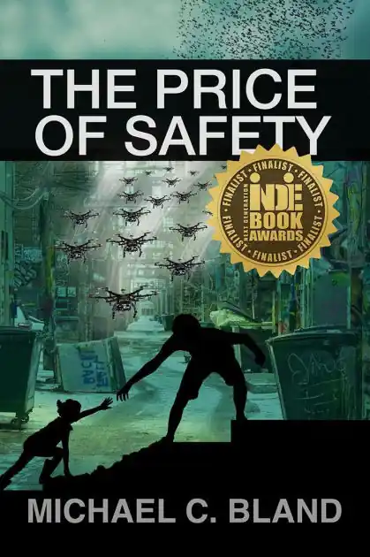 The Price of Safety Bargain