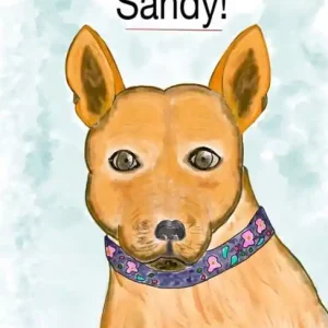"Sandy!" Free Shipping