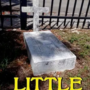 New Release Little Boxes