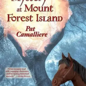 The Mystery at Mount Forest Island Popular