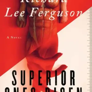 Order Now The Hunchback's Gift Part 2, Superior Ones Risen: A Visionary, Metaphysical, and Magical Realism Novel