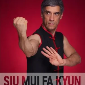 Express Delivery Siu Mui Fa Kyun, Boxe da Pequena Flor de Ameixa: Forma completa e aplicacoes tecnicas