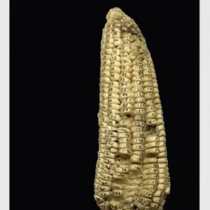 Damián Ortega: Corn and Industry High Quality