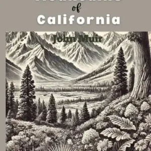 The Mountains in California Professional Grade