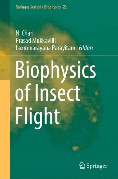 Biophysics of Insect Flight In Demand