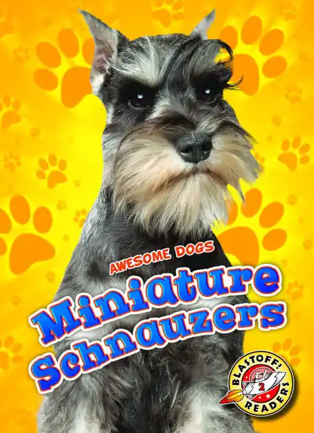 Miniature Schnauzers Crafted