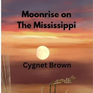 Fresh Stock Moonrise on the Mississippi (The Locket Saga, #8)